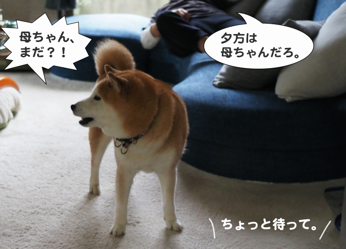 5日夕ブログ７