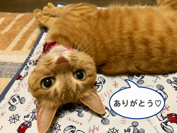 31日夕ブログ９