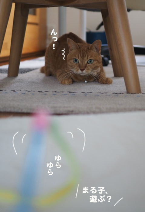 4日夕ブログ３