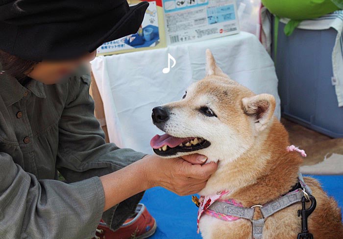20日ブログ５