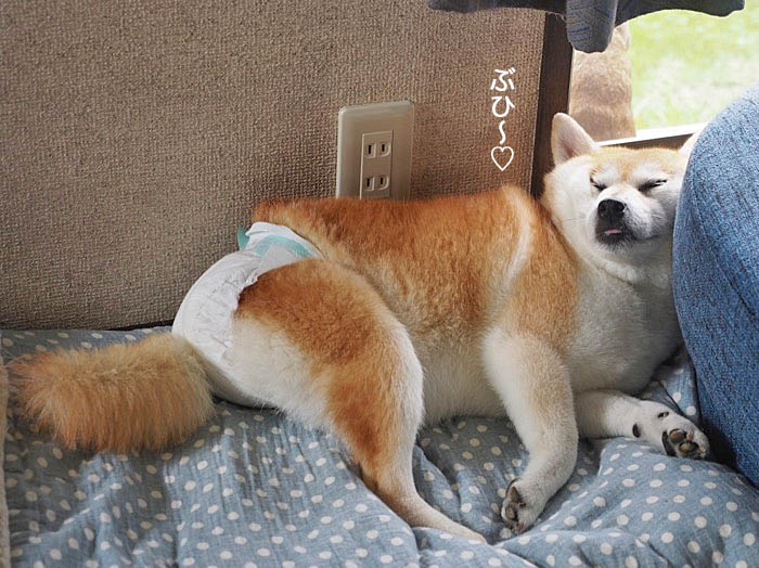13日夜ブログ３