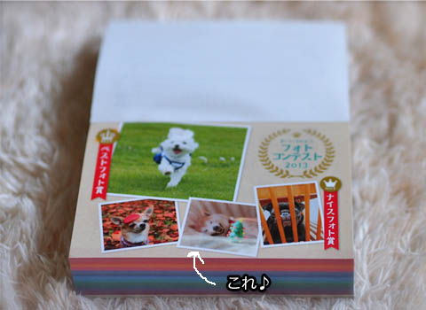 25日ブログ5.jpg