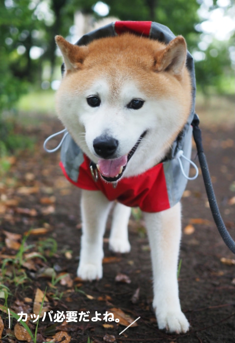 6日ブログ３