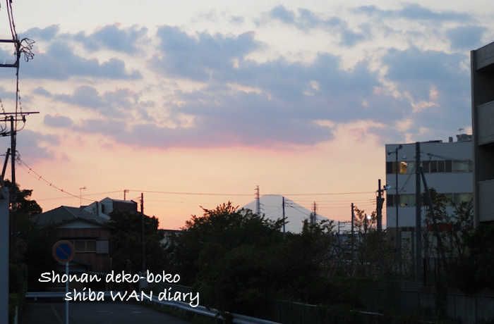 30日夜ブログ３