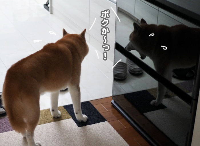 4日午前ブログ５