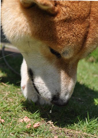 29日ブログ13.jpg