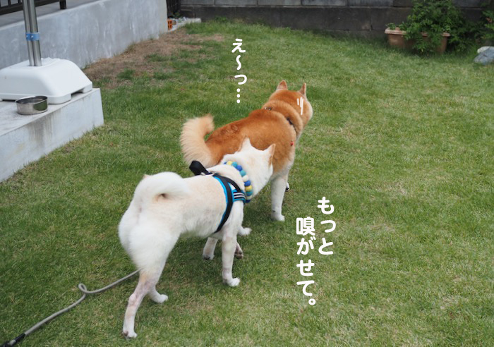 7日夕ブログ２１
