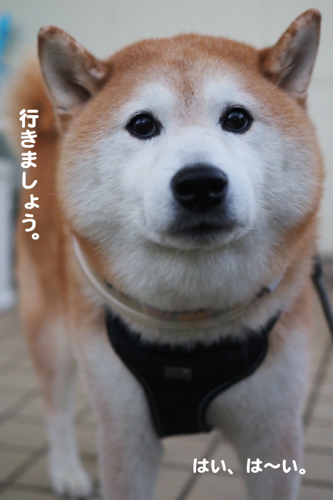 22日ブログ２