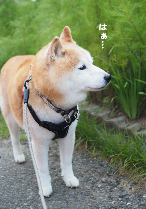 13日午前ブログ２