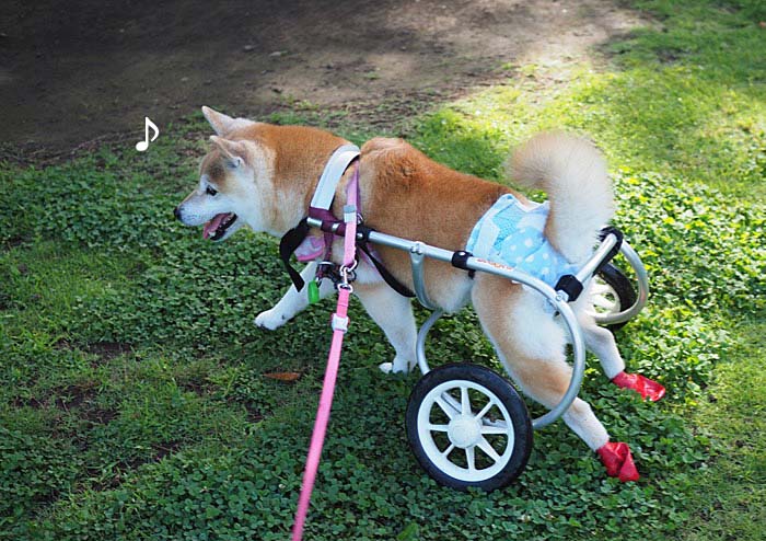 14日午後ブログ３