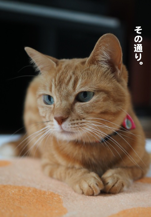 1日ブログ８