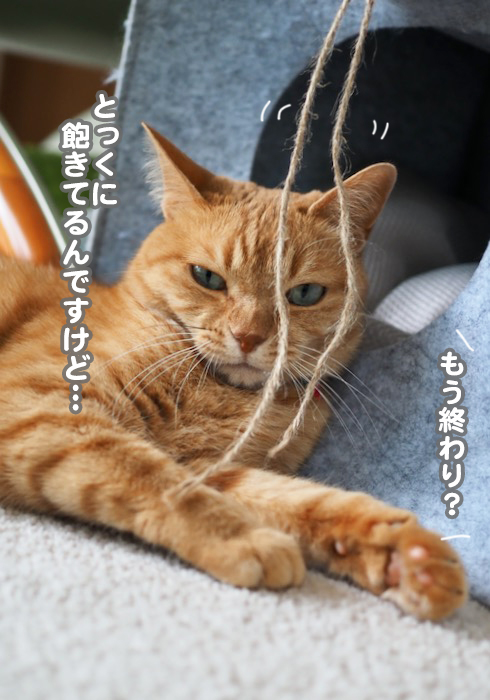 24日夕ブログ９