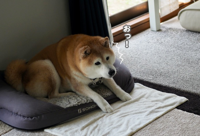 15日夕ブログ２