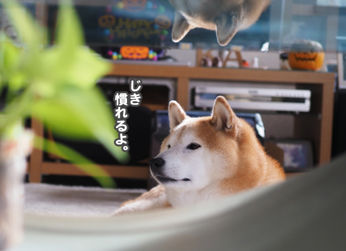 31日夕ブログ６