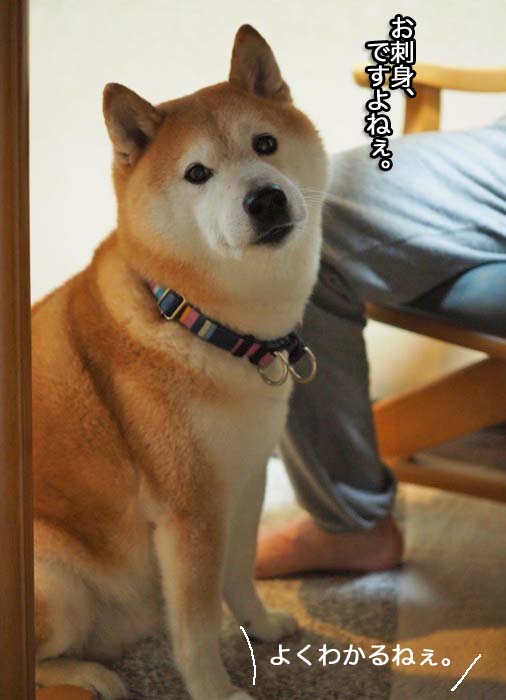 23日夜ブログ３