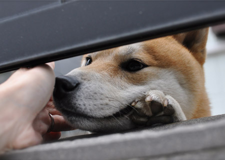 18日ブログ１４.jpg