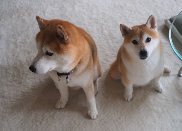 27日ブログ１