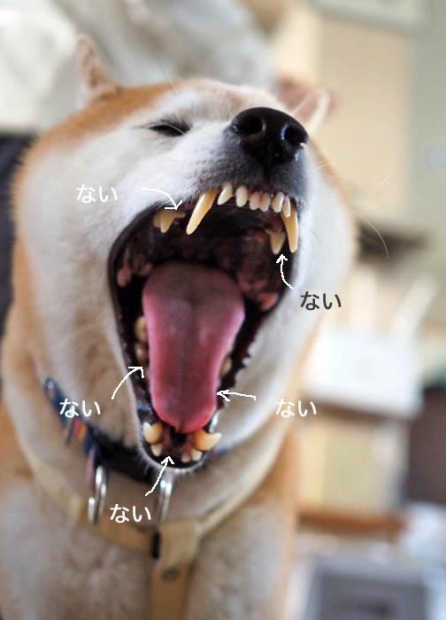 27日夜ブログ7