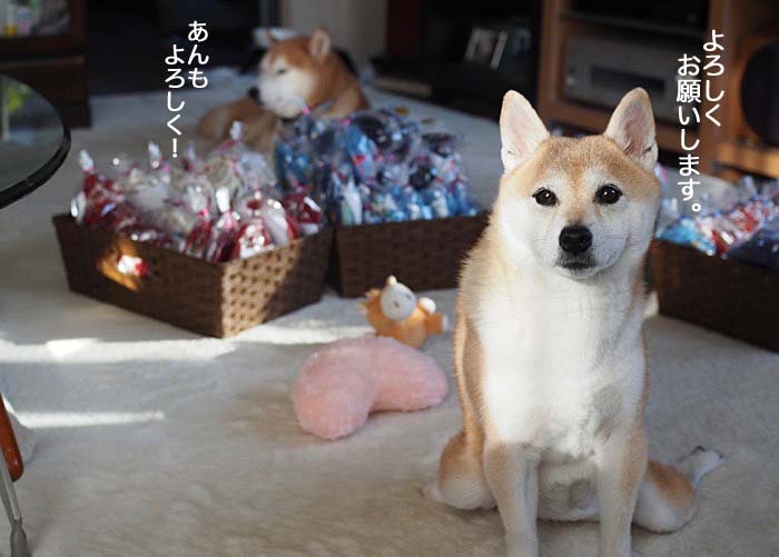 5日ブログ６