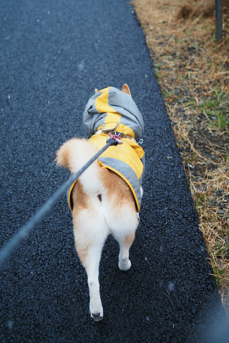 4日夕ブログ３