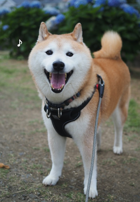8日夕ブログ１３