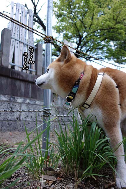 27日ブログ3