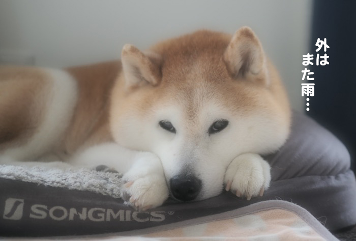 19日午前ブログ２