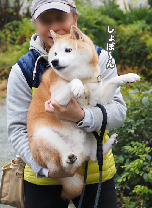 13日夕ブログ６