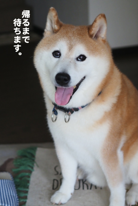 27日夜ブログ5