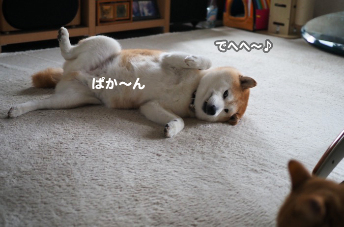18日夕ブログ２