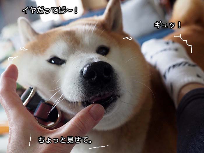 16日ブログ３