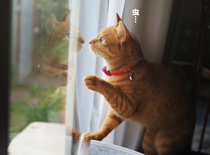 4日夕ブログ５