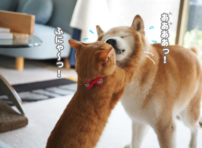 14日ブログ５