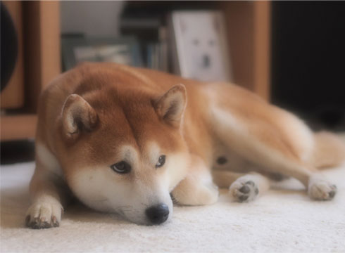 27日ブログ5.jpg