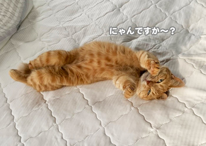 5日夕ブログ５