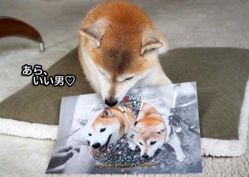 5日夜ブログ４