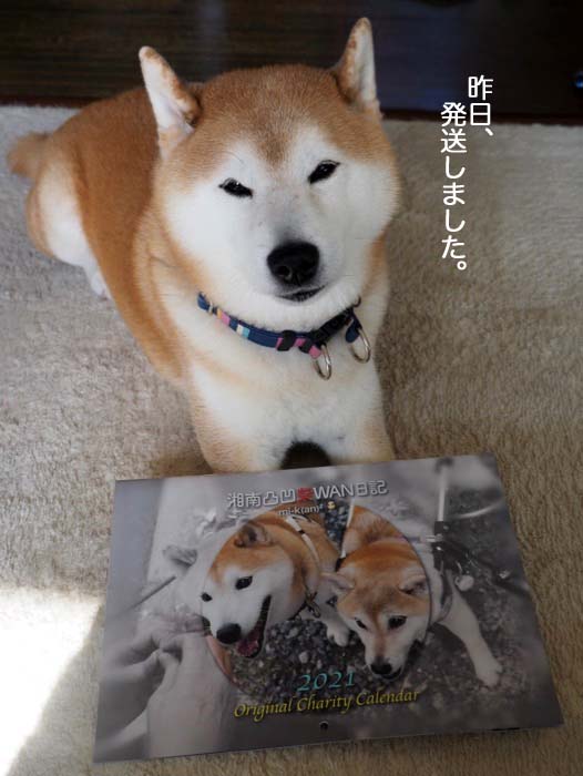 17日ブログ１