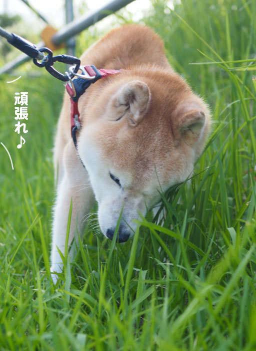 19日ブログ6