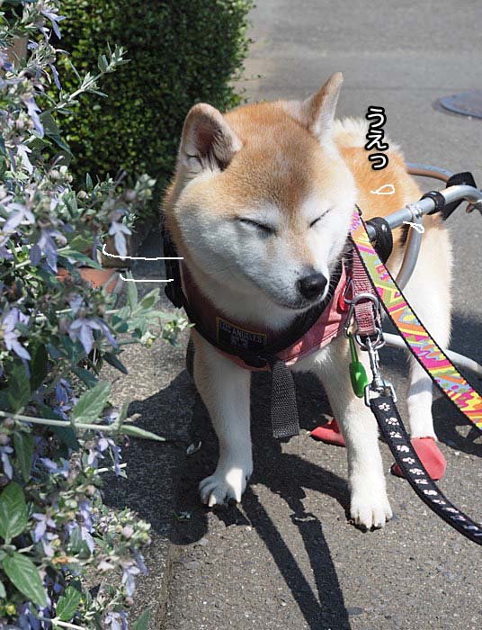 11日夜ブログ３