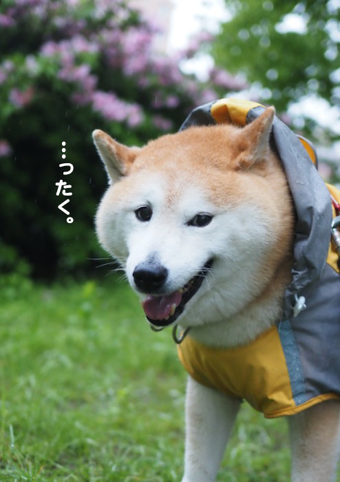 16日夕ブログ６