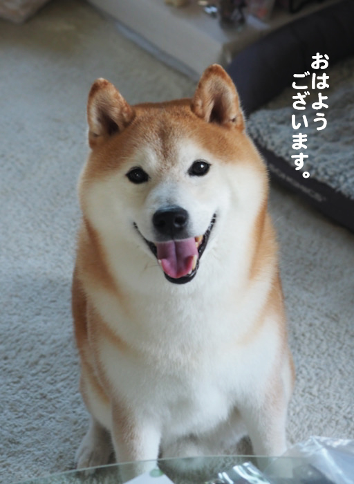 19日ブログ２