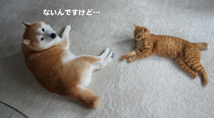 29日ブログ４