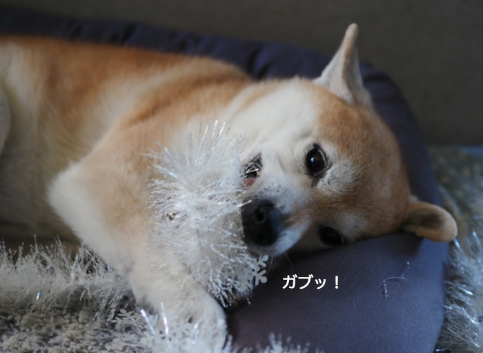 18日夜ブログ５