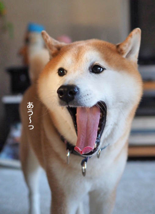 10日夜ブログ６