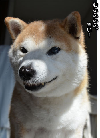 30日ブログ8.jpg