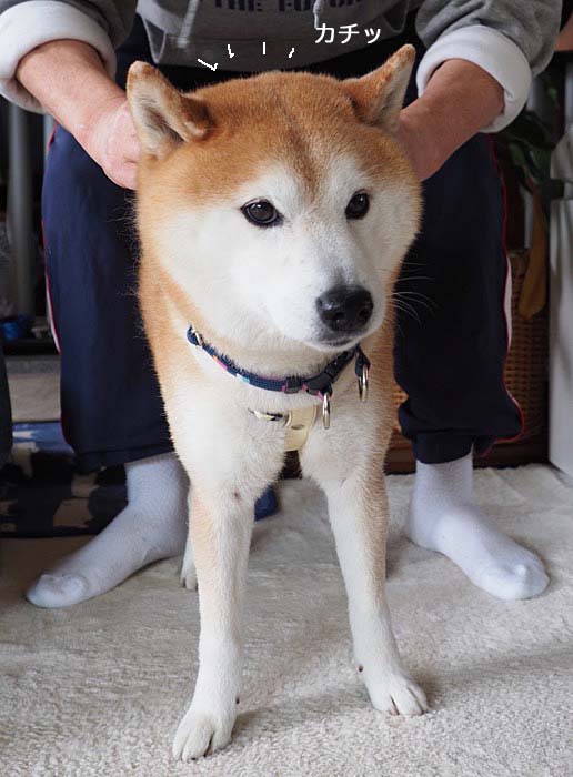 3日ブログ８