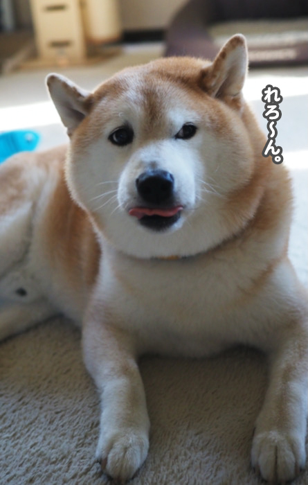 21日夕ブログ１１