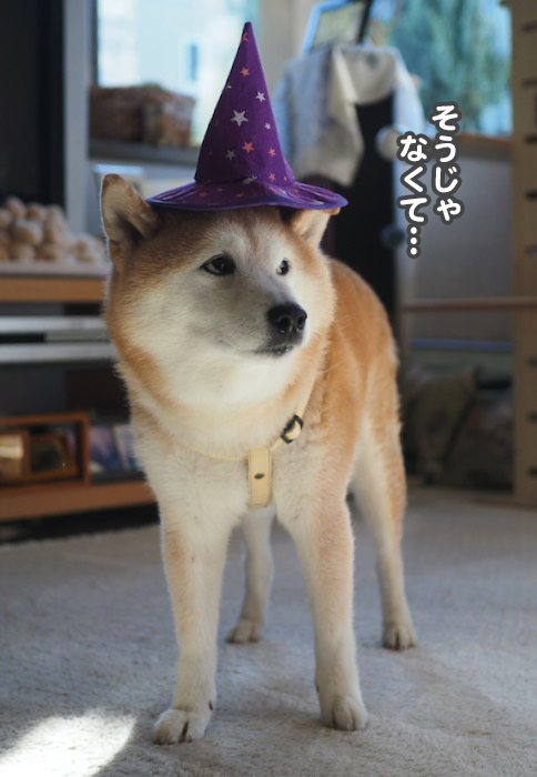 26日ブログ９