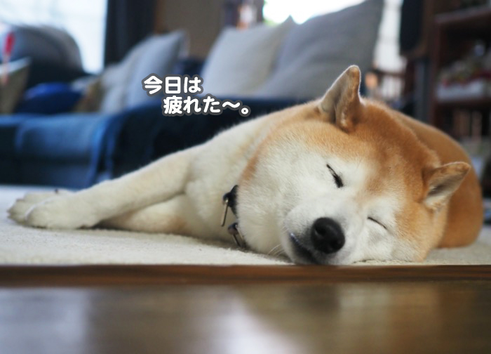 28日夕ブログ８jpg