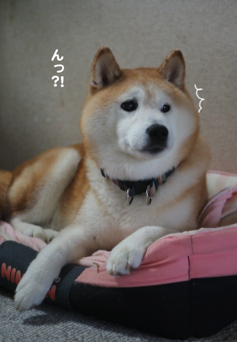 15日夕ブログ２